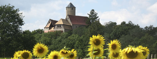 Veranstaltungen auf der Burg Schönfels